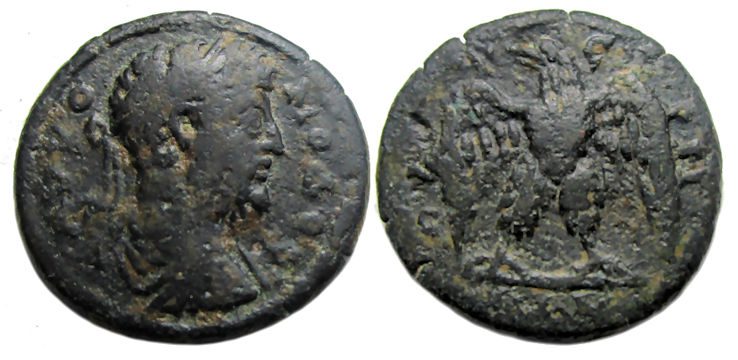 Commodus Ae : Thyateira Lydia : Eagle Facing with Spread Wings