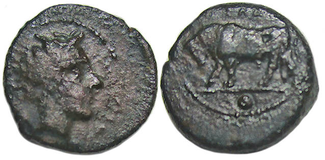 Gela Sicily Ae Onkia : Head of Gelas / Bull Standing