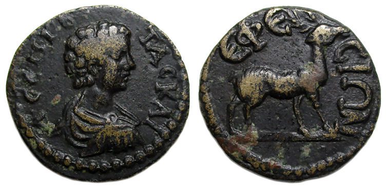 Geta Ae : Ephesus Ionia : Stag Standing