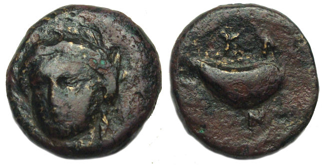 Gyrnion Aeolis : Apollo Facing / Mussel Shell