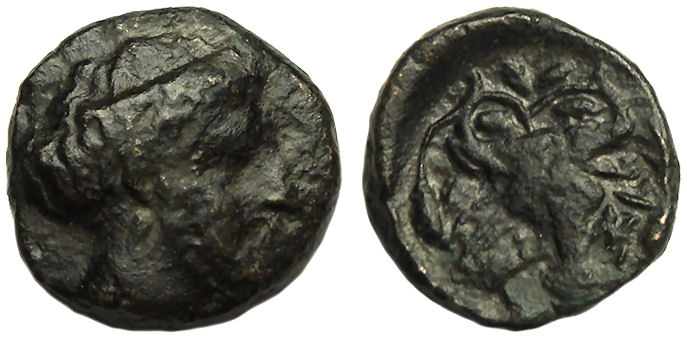Histiaia Euboea Ae : Forepart of Bull : BCD