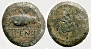 Ilipense Spain Ae Half Unit: Shad / Grain Ear