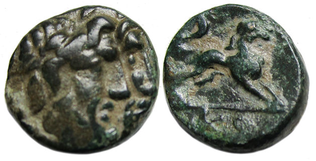 Komana Pisidia Ae : Jugate Busts / Lion Springing