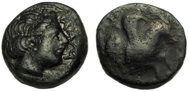 Lampsakos Mysia : Female Head / Forepart of Pegasus