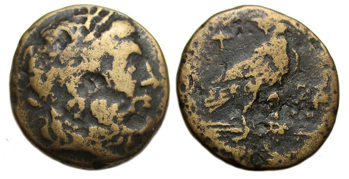 Paroreia Macedonia Ae: Bust of Zeus / Eagle Standing