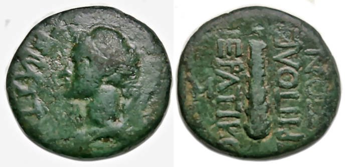 Livia Ae : Bust of Livia / Club : Nicer Example